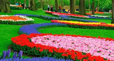 paisaje color floress jigsaw puzzle