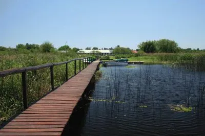 Esteros del IberÃ¡. Corrientes. Argentina