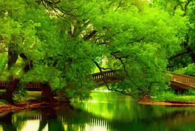 Verde, te quiero verde.