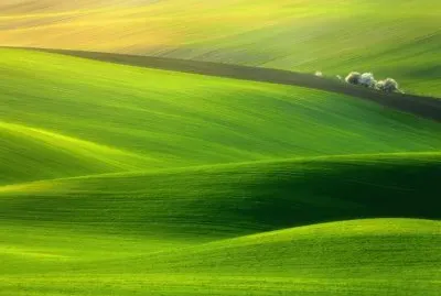 spring time green hills