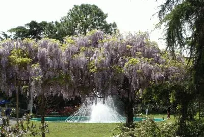 En Escobar. Buenos Aires. Argentina
