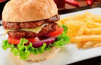 Hamburguer-2 jigsaw puzzle