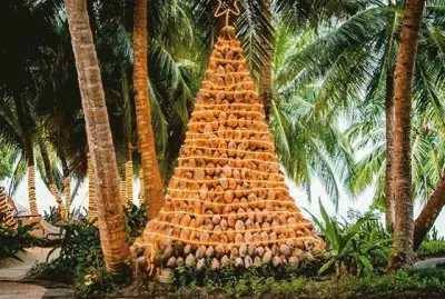 Arbol de coco