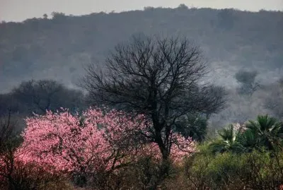 En Santiago del Estero. Argentina