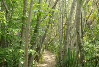 Reserva Rivera Norte. Buenos Aires. Argentina