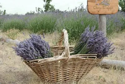 En Puerto Madryn. Chubut. Argentina