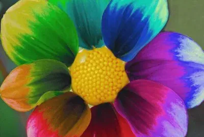 Color Flower