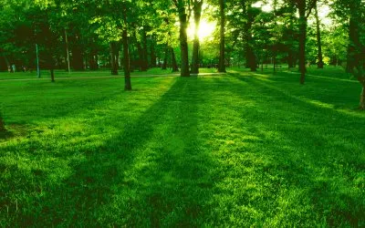 Paisaje jigsaw puzzle