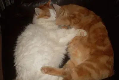 not hard to understand why they are so loved ?