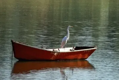 paseo