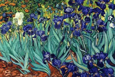 Irises Saint Remy 1889 Van Gogh