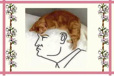 ×—×ª×•×œ×