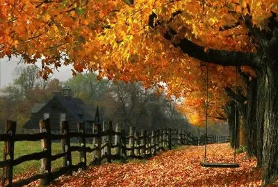 paisaje jigsaw puzzle