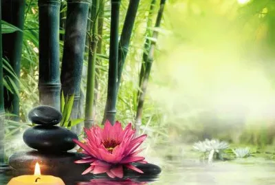 ,mr k5tm 45i7zg76t f7rtcbfc8zm8oeuh