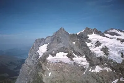 rosenhorn jigsaw puzzle