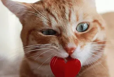 â™¥