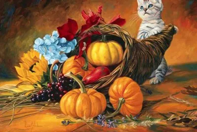 nk4656.4,m5.57m657mn6mn67n4n