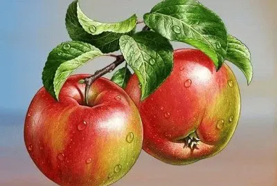 Apple 's