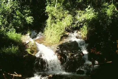 Arroyo Salamanca. Misiones. Argentina
