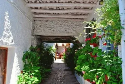 פאזל של EspaÃ±a siglo XXI, La Alpujarra