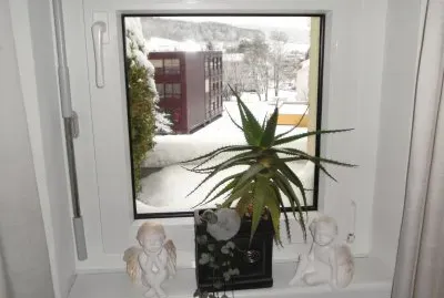 Winter jigsaw puzzle