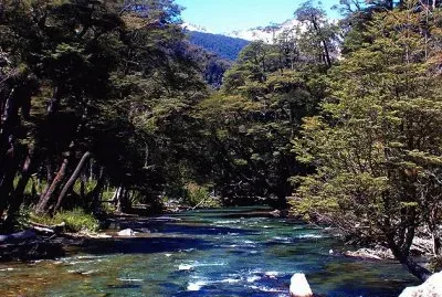 RÃ­o Pichi Traful. NeuquÃ©n. Argentina