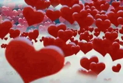 ×œ×‘×‘×•×ª