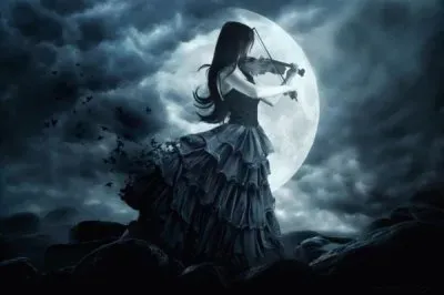 fantasia jigsaw puzzle