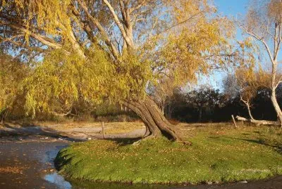 Cerca de Villa Elisa. Buenos Aires. Argentina