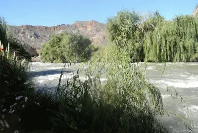 Valle Grande. Mendoza. Argentina