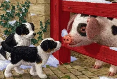 Ã¤Ã¶kedrdztg ghtvzr43st