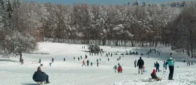 bankut jigsaw puzzle