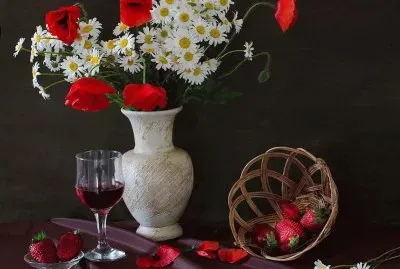 bvtzr56r fghvb hg tr5tfcvb