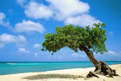 Paisaje