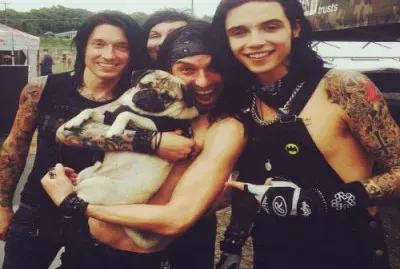 BVB with a dog