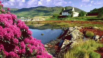 פאזל של NATUREZA