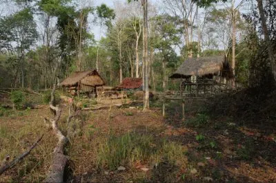 virachey national park