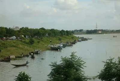 ashulia