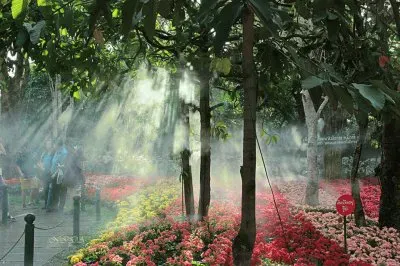 natureza jigsaw puzzle