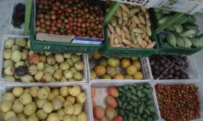 frutas jigsaw puzzle