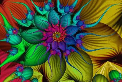 Colorful Flower Wheel