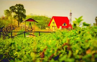 פאזל של sajek rangamati