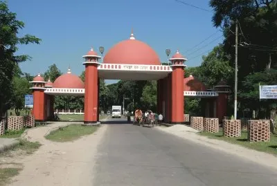 פאזל של tangail
