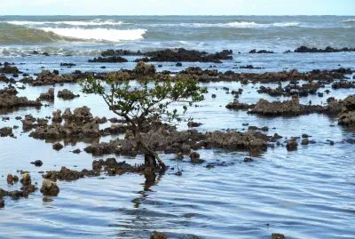 Mar de Manguinhos - Serra - ES