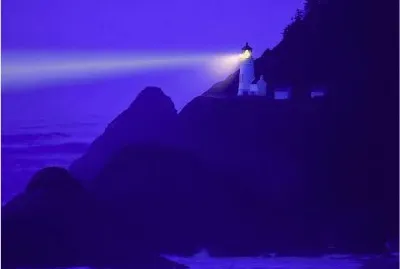 Picture0002 jigsaw puzzle