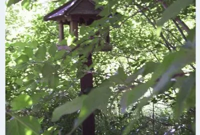 Picture0003 jigsaw puzzle