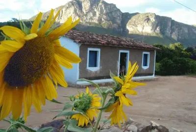 NATUREZA