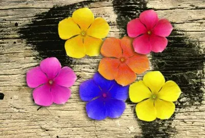 mn f re56 fvghf5e56uzghb nz87t5tzgv jigsaw puzzle