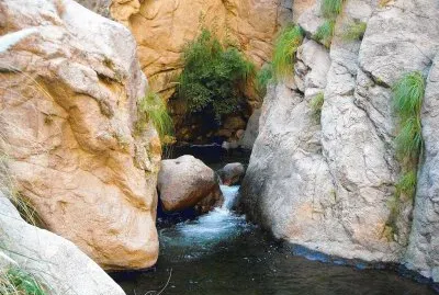 En Cafayate. Salta. Argentina