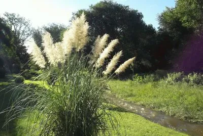 En Calamuchita. CÃ³rdoba. Argentina